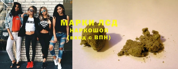 гидропоника Каменногорск